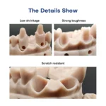 dental-pro-model-resin-2