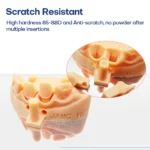 dental-pro-model-resin-2